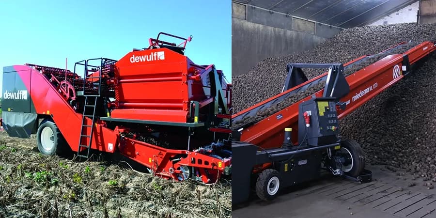 Innovación y Eficiencia en la Cosecha de Papas:  Herramientas Clave para una Agricultura Sostenible